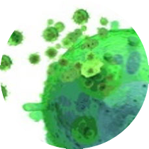 Exosomes